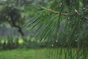 Chaparrones para el norte de ambas regiones - Megacadena — Últimas Noticias de Paraguay