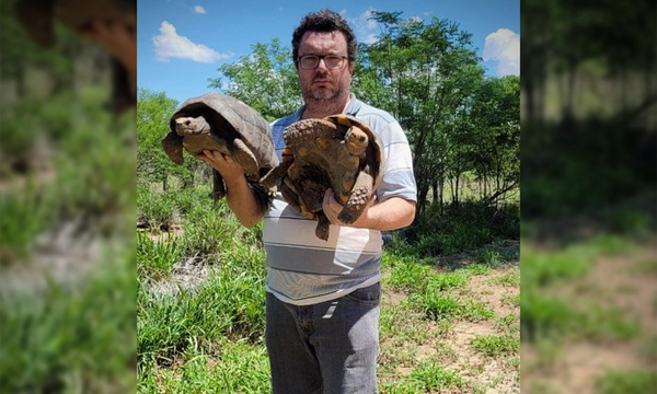 Robaron 21 tortugas en peligro de extinción del Refugio Urutaú - OviedoPress