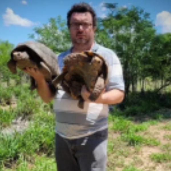 Ladrones se llevaron 21 tortugas del refugio Urutaú