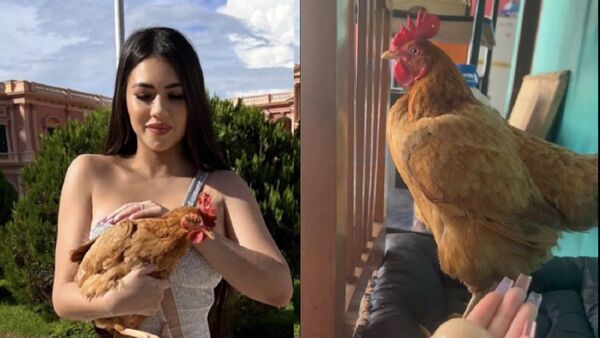 Laurys Dyva: "Hortensia tiene los huevos que a muchos le faltan"