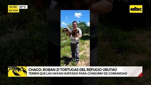 Roban 21 tortugas del Refugio Urutaú - ABC Noticias - ABC Color