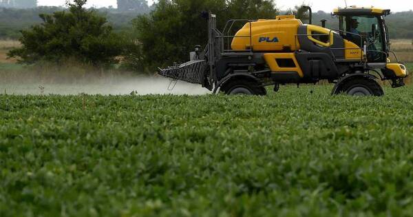 La Nación / Decisión de compras de fertilizantes fue afectada por conflictos bélicos