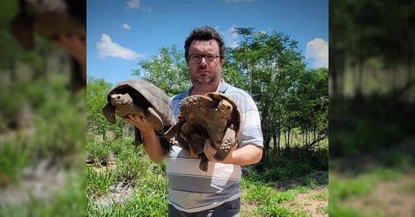 La Nación / Roban 21 tortugas en peligro de extinción del Refugio Urutaú