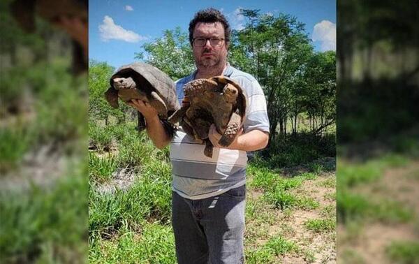 Roban 21 tortugas en peligro de extinción en Boquerón – Prensa 5