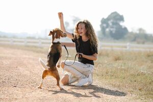 Entrená a tu perro para que no se escape