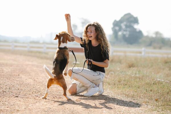 Entrená a tu perro para que no se escape
