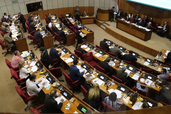 Senado acusa mal desempeño de funciones a fiscales de caso Pecci - Revista PLUS