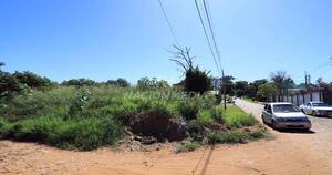 La Nación / Denuncian falta de limpieza en terreno baldío en Luque