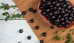 Guapurú: un fruto silvestre lleno de propiedades
