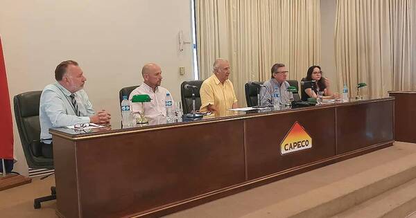 La Nación / Capeco estima una merma de un millón de toneladas de soja en esta campaña y esperan mejores condiciones en el 2023