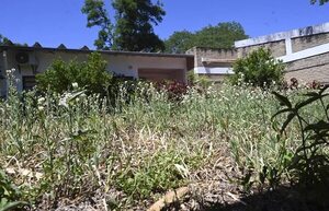 Vergüenza municipal: albergue para mujeres se construyó hace 3 años, pero sigue sin habilitarse - Nacionales - ABC Color