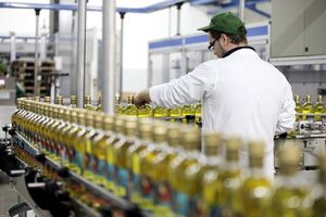 El 2022 fue el peor año para la industria aceitera y desde el sector solicitan mayor apoyo al próximo Gobierno - MarketData
