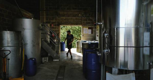 La Nación / India: reportan 22 muertos por intoxicación con alcohol adulterado