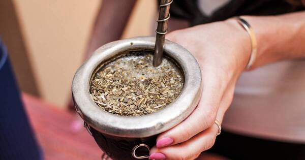 La Nación / Fármaco para hipotiroidismo acompañado de mate tiene menor absorción, según estudio