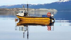 Puerto Almanza: Pesca fresca del fin del mundo