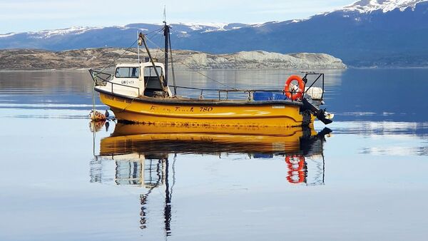 Puerto Almanza: Pesca fresca del fin del mundo