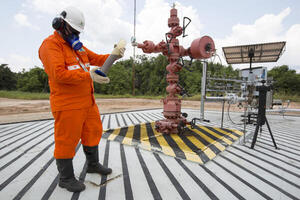 Las grandes petroleras se disputan once áreas en codiciada subasta en Brasil - MarketData