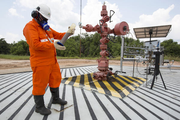 Las grandes petroleras se disputan once áreas en codiciada subasta en Brasil - MarketData