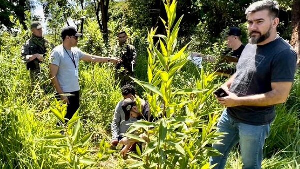 Dos detenidos en Amambay y Concepción por fingir ser miembros del EML y extorsionar a un ganadero