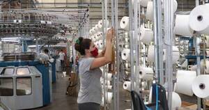 La Nación / Industria hilera brasileña se instalará en Alto Paraná con inversión de US$ 20 millones