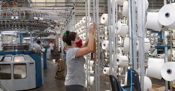 La Nación / Industria hilera brasileña se instalará en Alto Paraná con inversión de US$ 20 millones