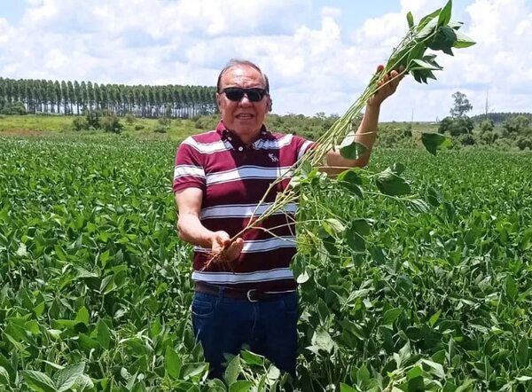 Desarrollo de soja genera optimismo en Alto Paraná - ABC en el Este - ABC Color