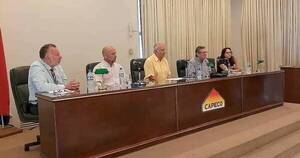 La Nación / Capeco prevé merma de 1 millón de toneladas de soja en esta zafra