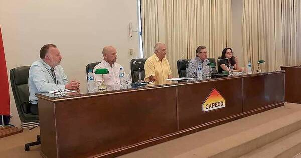 La Nación / Capeco prevé merma de 1 millón de toneladas de soja en esta zafra