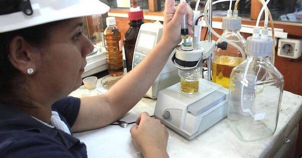 La Nación / Plantean profundizar mezcla de etanol y biodiesel para una mayor dependencia local