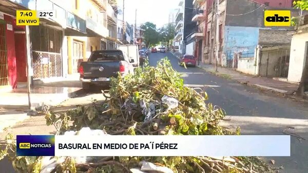 Pésimo servicio de recolección de basura - ABC Noticias - ABC Color