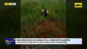 Redujeron en un camalotal a presunto ladrón - ABC Noticias - ABC Color