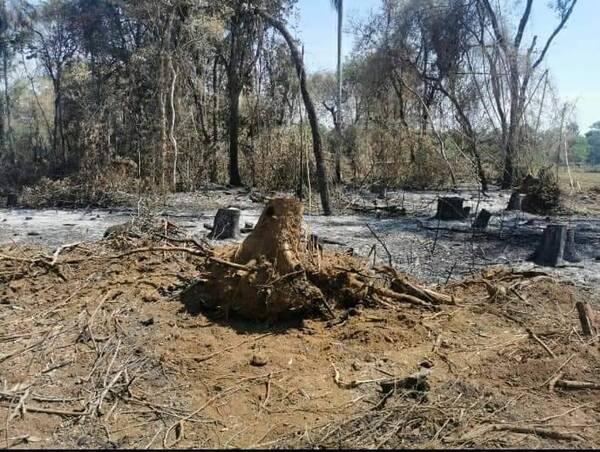 Dueña de un inmueble rural ligó proceso aipo por delito ambiental - La Clave