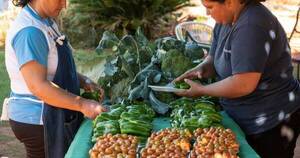 La Nación / Más de 1.100 productores agrícolas expondrán hoy sus productos en la Costanera