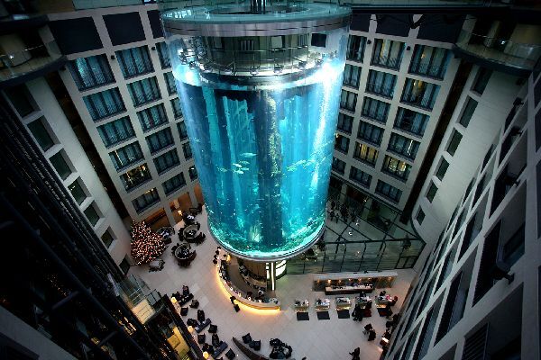 Estalló un gigantesco acuario con un millón de litros de agua y 1.500 peces en Berlín - Megacadena — Últimas Noticias de Paraguay