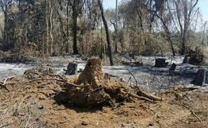 Imputan a dueña de propiedad rural por perjuicio a reservas naturales