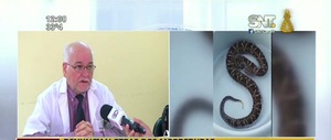 Cuidado: Víboras al acecho - SNT