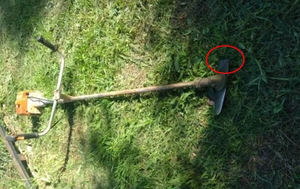 Hombre murió tras ser atravesado por la cuchilla de una desmalezadora en Tembiaporã – Prensa 5