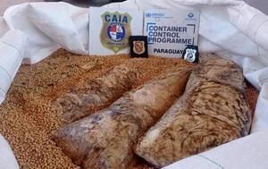 Ñeembucú: Cae gran cantidad de cocaína oculta entre granos de soja  – Prensa 5