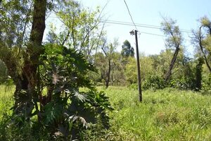 Pobladores exigen la limpieza del predio del Ykua Kurusu de San Juan Nepomuceno - Nacionales - ABC Color