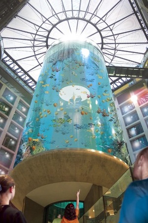 Berlín: estalló el mayor acuario cilíndrico del mundo con 1.500 peces - Unicanal