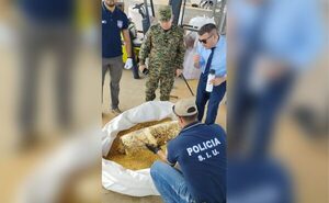 Hallan paquetes de cocaína oculta en carga de soja en Puerto Caacupemi - Megacadena — Últimas Noticias de Paraguay