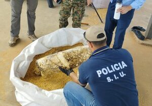 Diario HOY | Hallan 650 kilos de cocaína en carga de soja, pesaje continúa