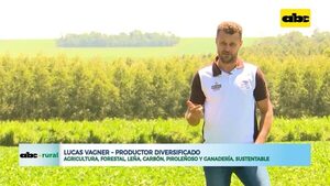 Productor hace agricultura, forestal, leña, carbón, piroleñoso y ganadería, sustentable - ABC Rural - ABC Color