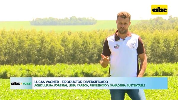 Productor hace agricultura, forestal, leña, carbón, piroleñoso y ganadería, sustentable - ABC Rural - ABC Color