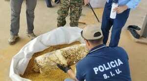 Hallan 650 kilos de cocaína en carga de soja, pesaje continúa
