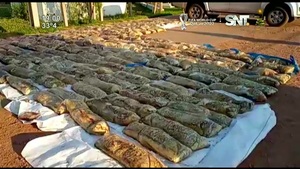 La ruta de la droga, de Paraguay a Europa: Mega incautación de cocaína - SNT