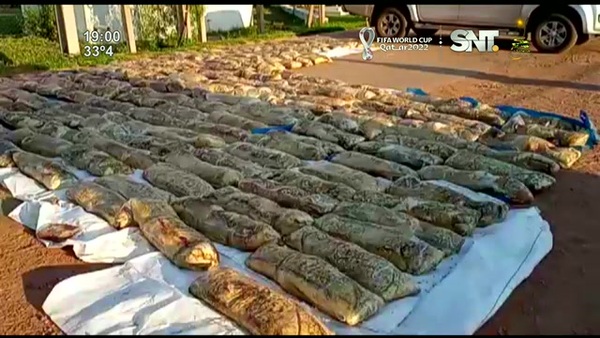 La ruta de la droga, de Paraguay a Europa: Mega incautación de cocaína - SNT