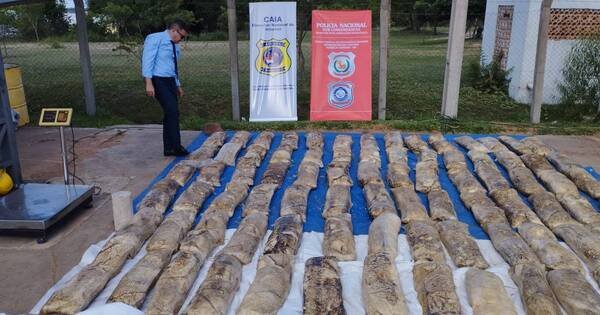 La Nación / Incautan más de 1.600 kilos de cocaína oculta en una carga de soja en Pilar