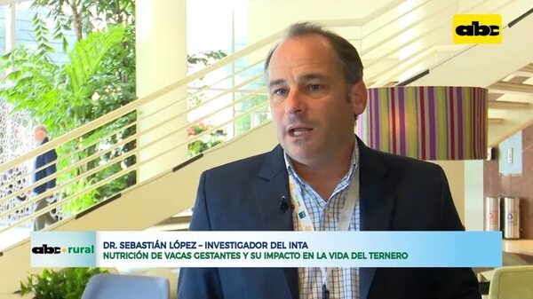 Nutrición de vacas gestantes y su impacto en la vida del ternero - ABC Rural - ABC Color