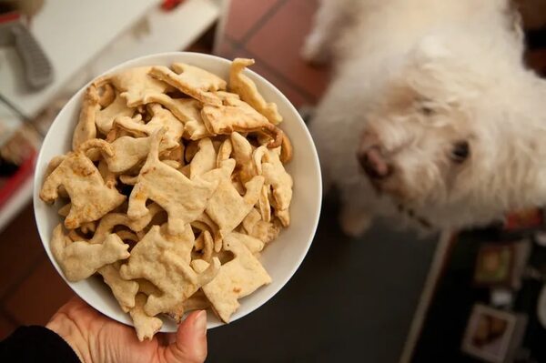 Galletas caseras, un buen regalo de Navidad para la mascota - Mascotas - ABC Color